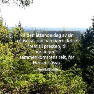 Picture 05 - 3 Mosebok 14:23 NORSK - På den åttende dag av sin renselse skal han - Bible Verse Picture