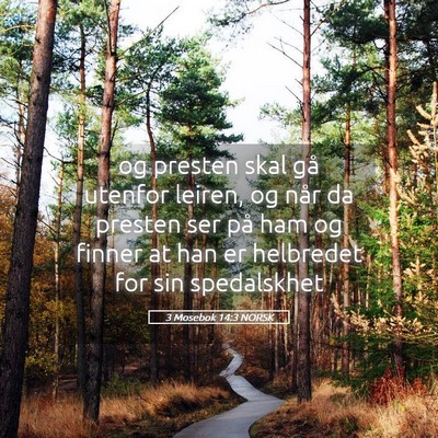 Picture 05 - 3 Mosebok 14:3 NORSK - og presten skal gå utenfor leiren, og når da - Bible Verse Picture