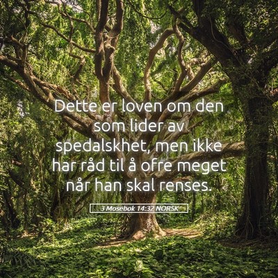Picture 05 - 3 Mosebok 14:32 NORSK - Dette er loven om den som lider av spedalskhet, - Bible Verse Picture