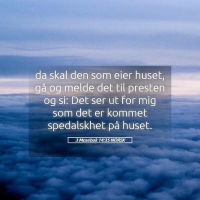 Picture 05 - 3 Mosebok 14:35 NORSK - da skal den som eier huset, gå og melde det til - Bible Verse Picture