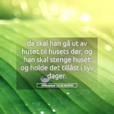 Picture 05 - 3 Mosebok 14:38 NORSK - da skal han gå ut av huset til husets dør, og - Bible Verse Picture