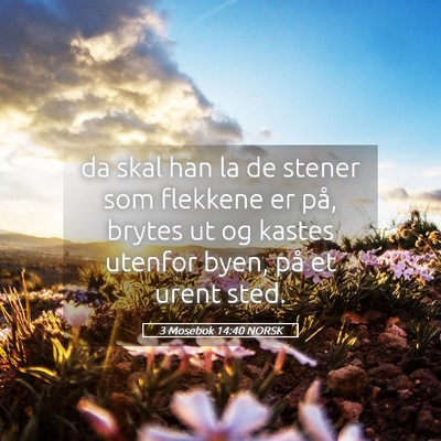 Picture 05 - 3 Mosebok 14:40 NORSK - da skal han la de stener som flekkene er på, - Bible Verse Picture