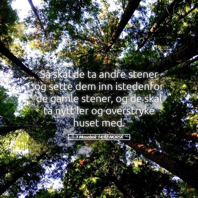 Picture 05 - 3 Mosebok 14:42 NORSK - Så skal de ta andre stener og sette dem inn - Bible Verse Picture