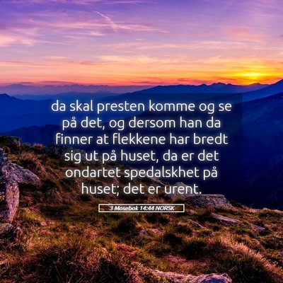 Picture 05 - 3 Mosebok 14:44 NORSK - da skal presten komme og se på det, og dersom - Bible Verse Picture