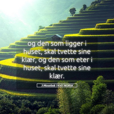 Picture 05 - 3 Mosebok 14:47 NORSK - og den som ligger i huset, skal tvette sine - Bible Verse Picture