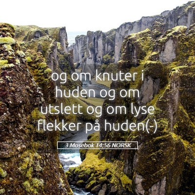 Picture 05 - 3 Mosebok 14:56 NORSK - og om knuter i huden og om utslett og om lyse - Bible Verse Picture