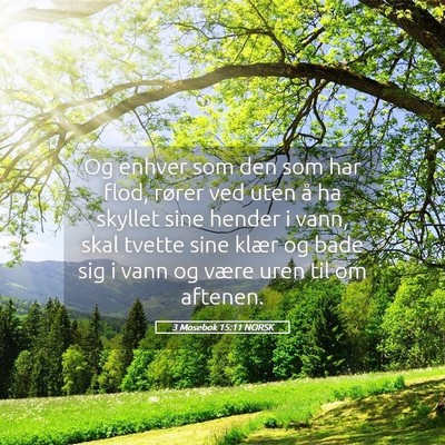 Picture 05 - 3 Mosebok 15:11 NORSK - Og enhver som den som har flod, rører ved uten - Bible Verse Picture