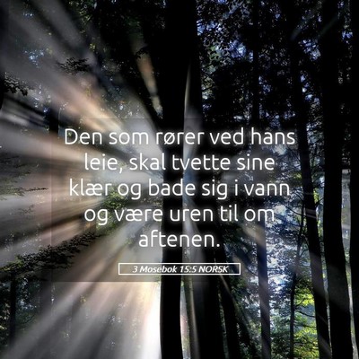 Picture 05 - 3 Mosebok 15:5 NORSK - Den som rører ved hans leie, skal tvette sine - Bible Verse Picture