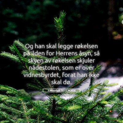 Picture 05 - 3 Mosebok 16:13 NORSK - Og han skal legge røkelsen på ilden for Herrens - Bible Verse Picture