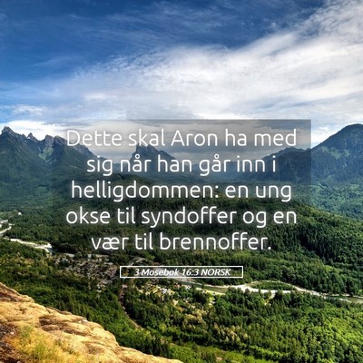 Picture 05 - 3 Mosebok 16:3 NORSK - Dette skal Aron ha med sig når han går inn i - Bible Verse Picture