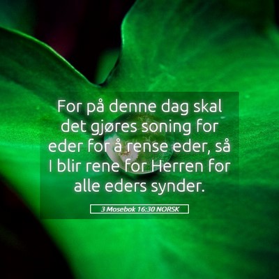 Picture 05 - 3 Mosebok 16:30 NORSK - For på denne dag skal det gjøres soning for - Bible Verse Picture
