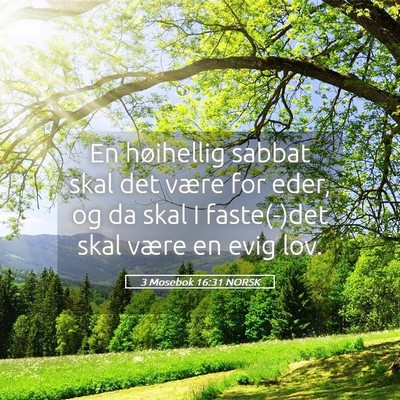Picture 05 - 3 Mosebok 16:31 NORSK - En høihellig sabbat skal det være for eder, og - Bible Verse Picture