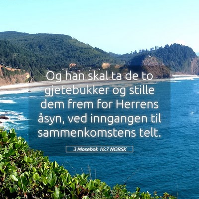 Picture 05 - 3 Mosebok 16:7 NORSK - Og han skal ta de to gjetebukker og stille dem - Bible Verse Picture