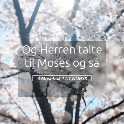 Picture 05 - 3 Mosebok 17:1 NORSK - Og Herren talte til Moses og - Bible Verse Picture
