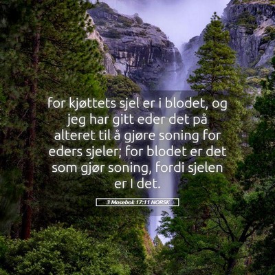 Picture 05 - 3 Mosebok 17:11 NORSK - for kjøttets sjel er i blodet, og jeg har gitt - Bible Verse Picture