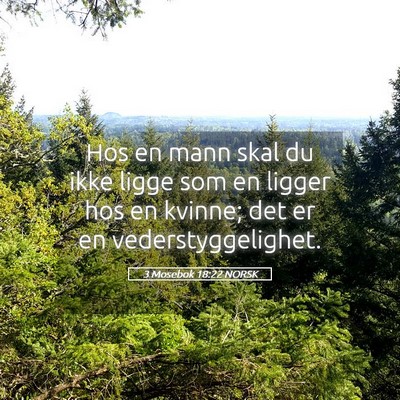 Picture 05 - 3 Mosebok 18:22 NORSK - Hos en mann skal du ikke ligge som en ligger hos - Bible Verse Picture