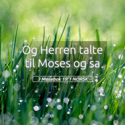 Picture 05 - 3 Mosebok 19:1 NORSK - Og Herren talte til Moses og - Bible Verse Picture