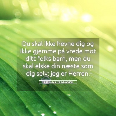 Picture 05 - 3 Mosebok 19:18 NORSK - Du skal ikke hevne dig og ikke gjemme på vrede - Bible Verse Picture