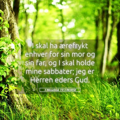 Picture 05 - 3 Mosebok 19:3 NORSK - I skal ha ærefrykt enhver for sin mor og sin - Bible Verse Picture