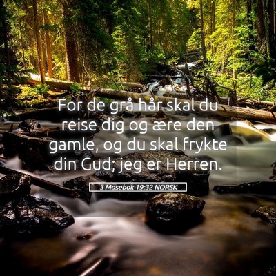 Picture 05 - 3 Mosebok 19:32 NORSK - For de grå hår skal du reise dig og ære den - Bible Verse Picture