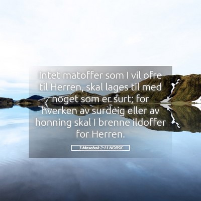 Picture 05 - 3 Mosebok 2:11 NORSK - Intet matoffer som I vil ofre til Herren, skal - Bible Verse Picture