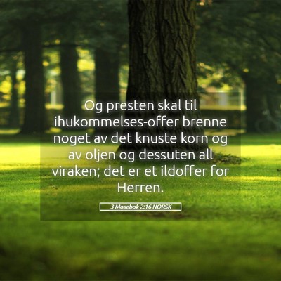 Picture 05 - 3 Mosebok 2:16 NORSK - Og presten skal til ihukommelses-offer brenne - Bible Verse Picture