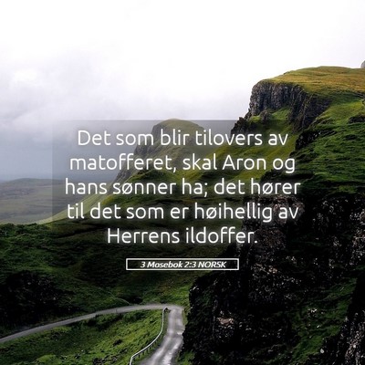 Picture 05 - 3 Mosebok 2:3 NORSK - Det som blir tilovers av matofferet, skal Aron og - Bible Verse Picture