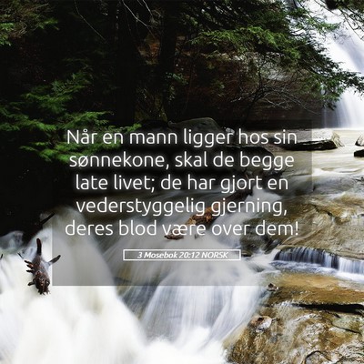 Picture 05 - 3 Mosebok 20:12 NORSK - Når en mann ligger hos sin sønnekone, skal de - Bible Verse Picture