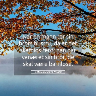 Picture 05 - 3 Mosebok 20:21 NORSK - Når en mann tar sin brors hustru, da er det - Bible Verse Picture