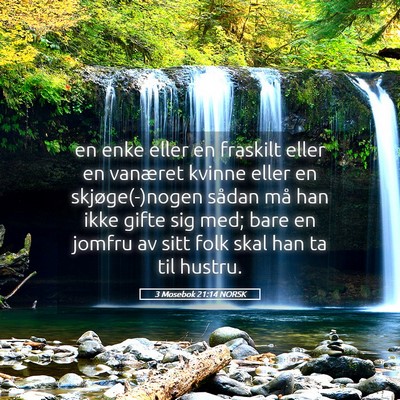 Picture 05 - 3 Mosebok 21:14 NORSK - en enke eller en fraskilt eller en vanæret - Bible Verse Picture