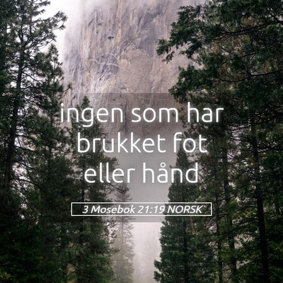 Picture 05 - 3 Mosebok 21:19 NORSK - ingen som har brukket fot eller - Bible Verse Picture