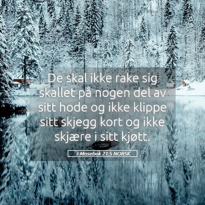 Picture 05 - 3 Mosebok 21:5 NORSK - De skal ikke rake sig skallet på nogen del av - Bible Verse Picture