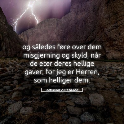 Picture 05 - 3 Mosebok 22:16 NORSK - og således føre over dem misgjerning og skyld, - Bible Verse Picture