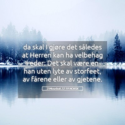 Picture 05 - 3 Mosebok 22:19 NORSK - da skal I gjøre det således at Herren kan ha - Bible Verse Picture