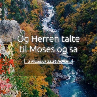 Picture 05 - 3 Mosebok 22:26 NORSK - Og Herren talte til Moses og - Bible Verse Picture