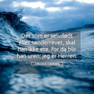 Picture 05 - 3 Mosebok 22:8 NORSK - Det som er selvdødt eller sønderrevet, skal han - Bible Verse Picture