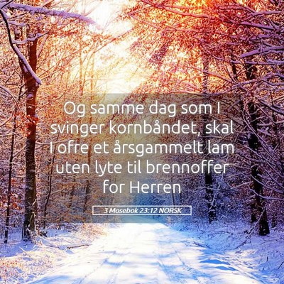 Picture 05 - 3 Mosebok 23:12 NORSK - Og samme dag som I svinger kornbåndet, skal I - Bible Verse Picture