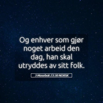 Picture 05 - 3 Mosebok 23:30 NORSK - Og enhver som gjør noget arbeid den dag, han - Bible Verse Picture