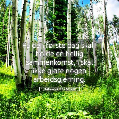Picture 05 - 3 Mosebok 23:7 NORSK - På den første dag skal I holde en hellig - Bible Verse Picture