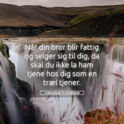 Picture 05 - 3 Mosebok 25:39 NORSK - Når din bror blir fattig og selger sig til dig, - Bible Verse Picture