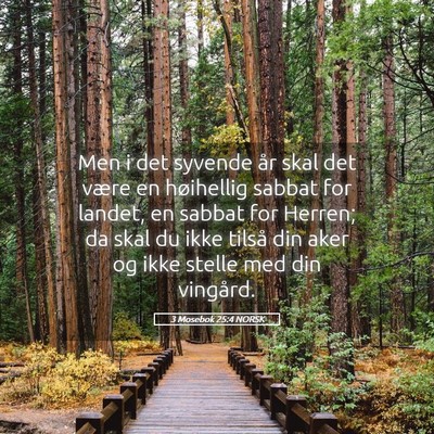 Picture 05 - 3 Mosebok 25:4 NORSK - Men i det syvende år skal det være en - Bible Verse Picture
