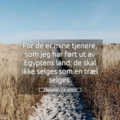 Picture 05 - 3 Mosebok 25:42 NORSK - For de er mine tjenere, som jeg har ført ut av - Bible Verse Picture