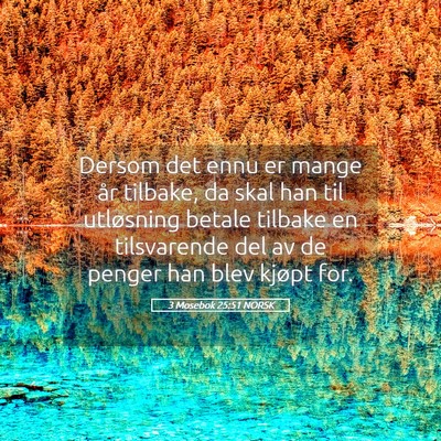 Picture 05 - 3 Mosebok 25:51 NORSK - Dersom det ennu er mange år tilbake, da skal han - Bible Verse Picture
