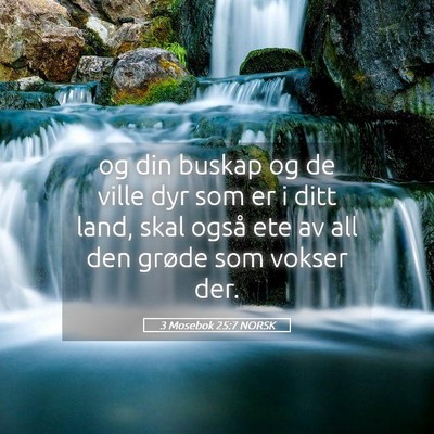 Picture 05 - 3 Mosebok 25:7 NORSK - og din buskap og de ville dyr som er i ditt land, - Bible Verse Picture