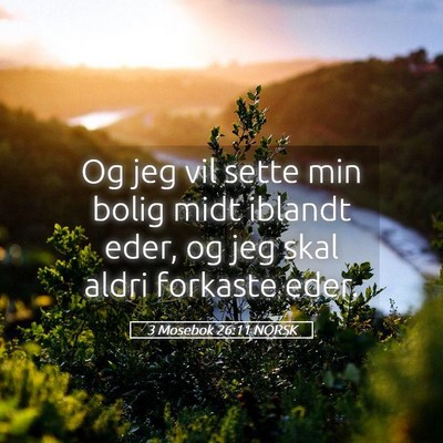 Picture 05 - 3 Mosebok 26:11 NORSK - Og jeg vil sette min bolig midt iblandt eder, og - Bible Verse Picture