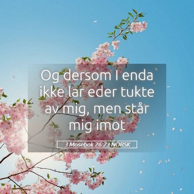 Picture 05 - 3 Mosebok 26:23 NORSK - Og dersom I enda ikke lar eder tukte av mig, men - Bible Verse Picture