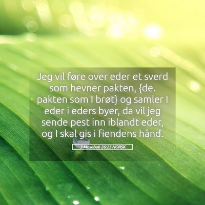 Picture 05 - 3 Mosebok 26:25 NORSK - Jeg vil føre over eder et sverd som hevner - Bible Verse Picture