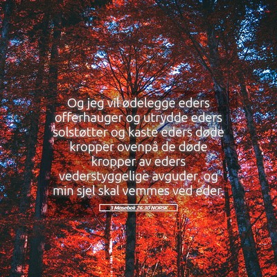 Picture 05 - 3 Mosebok 26:30 NORSK - Og jeg vil ødelegge eders offerhauger og utrydde - Bible Verse Picture