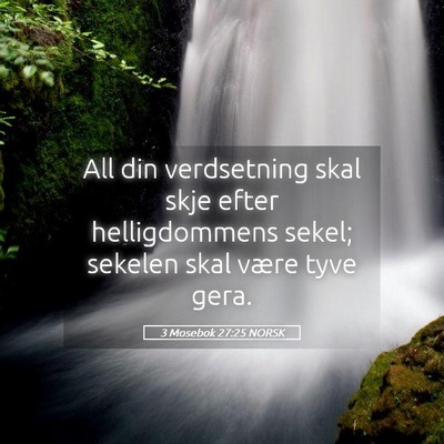 Picture 05 - 3 Mosebok 27:25 NORSK - All din verdsetning skal skje efter helligdommens - Bible Verse Picture