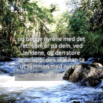 Picture 05 - 3 Mosebok 3:10 NORSK - og begge nyrene med det fett som er på dem, ved - Bible Verse Picture